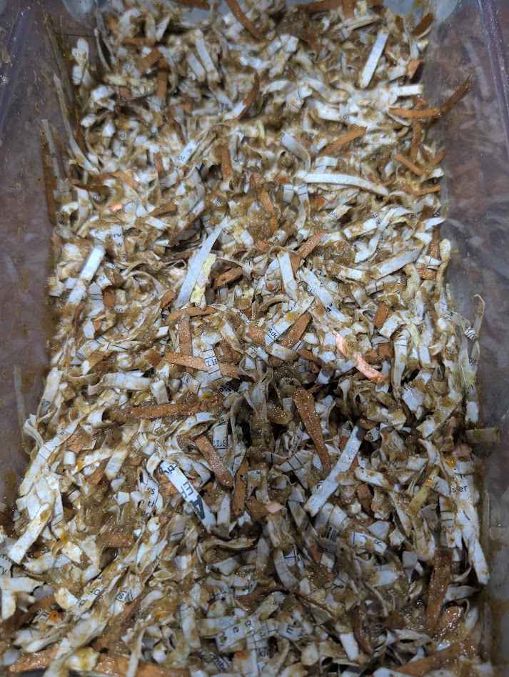alternative worm bedding method
